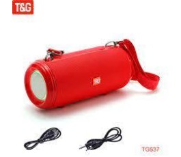 PARLANTE TYG TG431 (ARTV309)