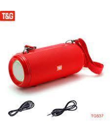 PARLANTE TYG TG431 (ARTV309)