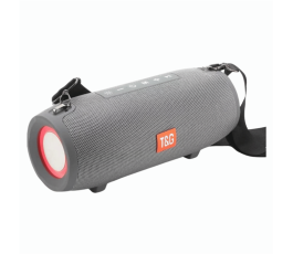 PARLANTE T&G 322 (ARTV345)