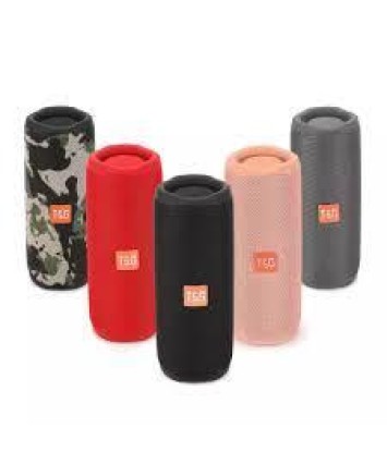 PARLANTE PORTATIL T&G 365 (ARTV348)